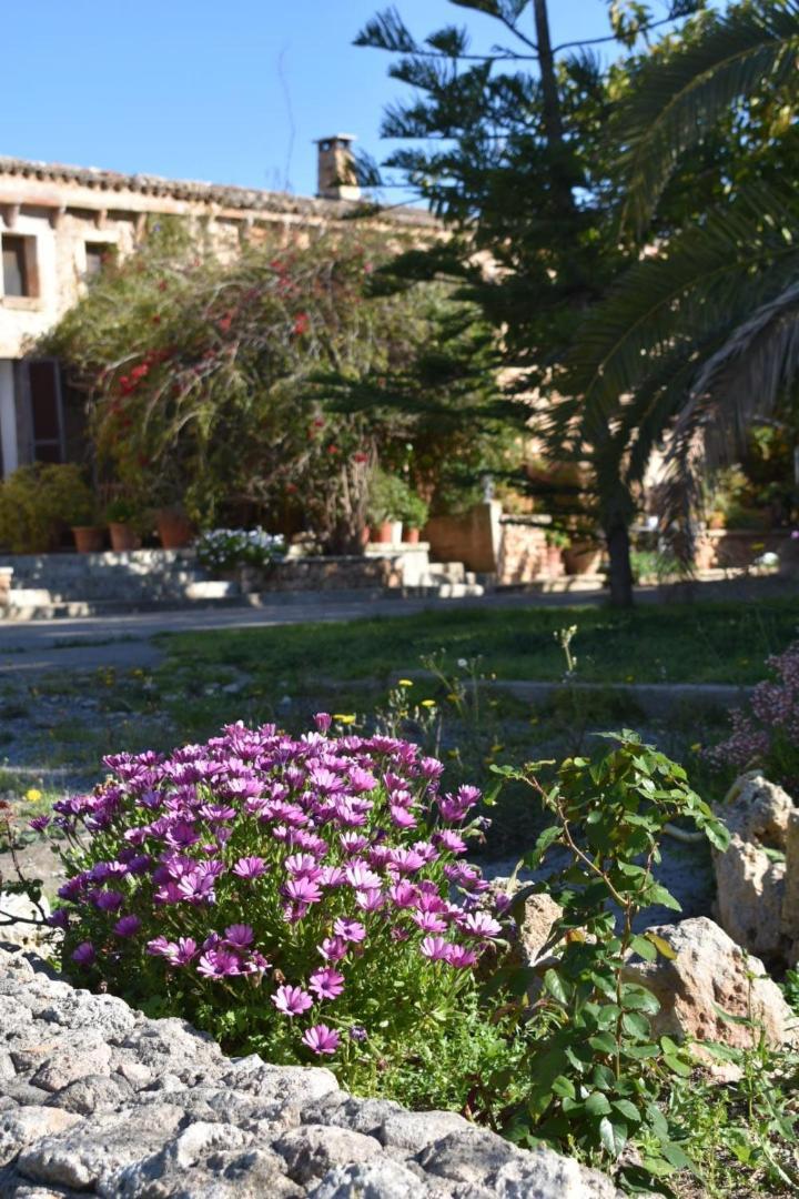 Finca Sa Cova Vella Manacor  Exterior photo